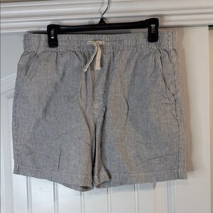 J. Crew Factory Men's Gray Pinstripe Shorts